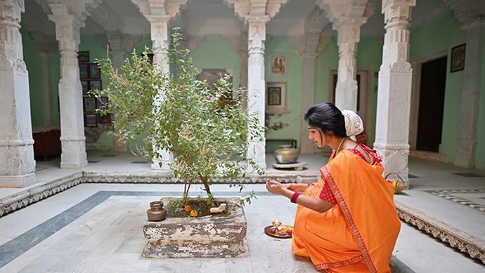 tulsi pujan diwas 204