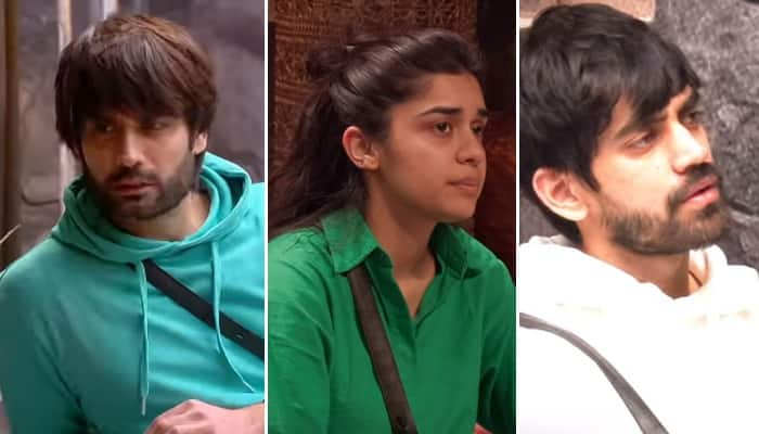  Bigg Boss 18: Vivian Dsena confronts Eisha Singh-Avinash Mishra after his wife's wake-up call [WATCH] NTI