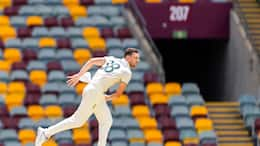 AUS vs IND, Brisbane Test: Josh Hazlewood likely to miss remainder of Border-Gavaskar series with calf injury snt