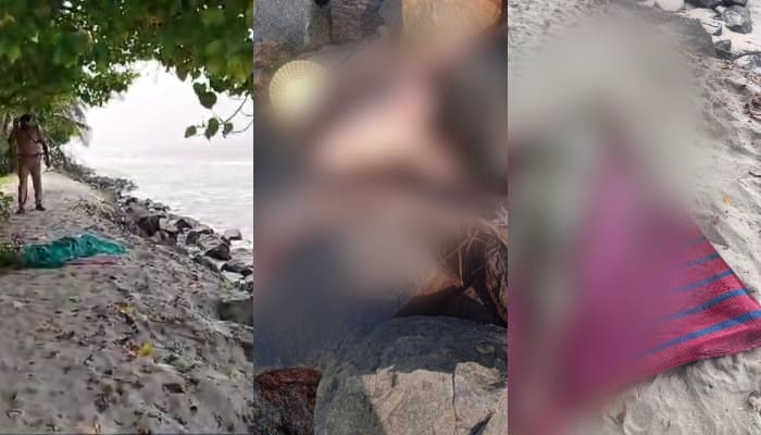 Two dead bodies wash ashore in Alappuzha, one identified, second body was rotting