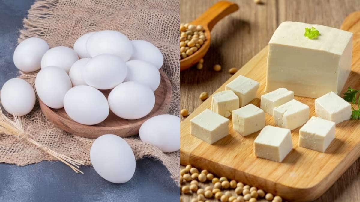 Egg or Paneer Which contains the most protein