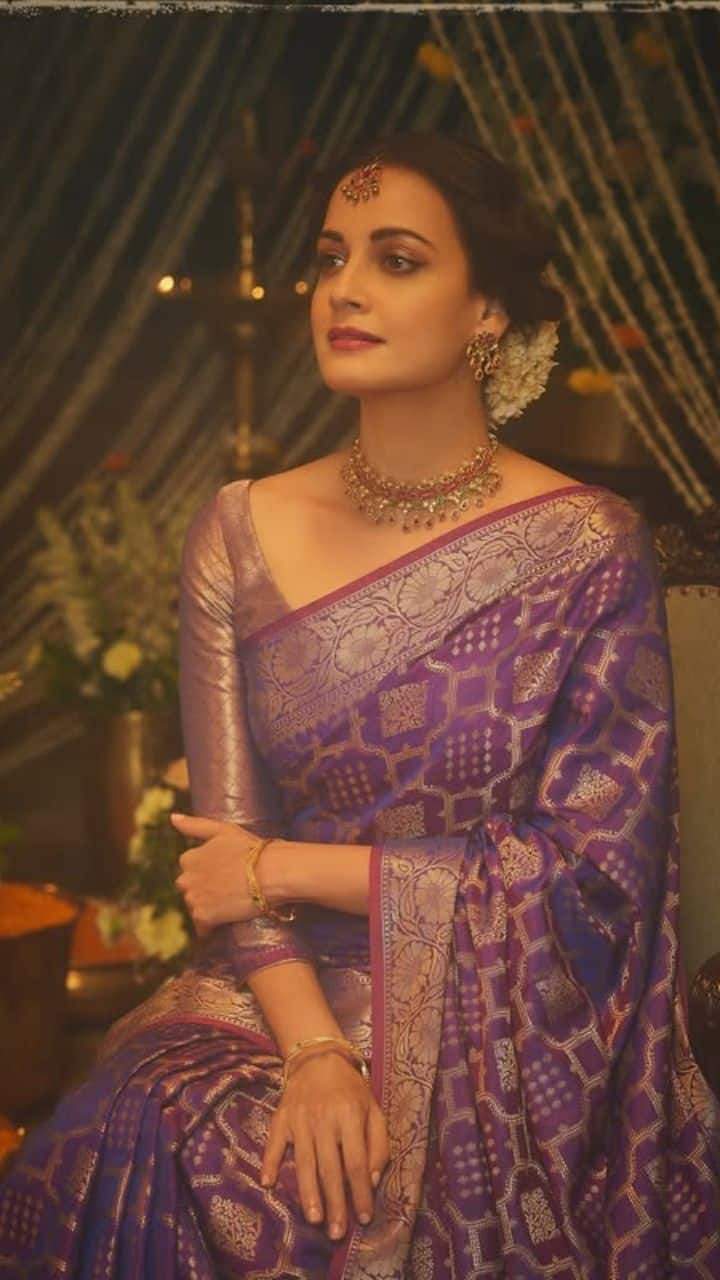 Dia Mirza's Saree Styles: Perfect inspiration for weddings and parties NTI