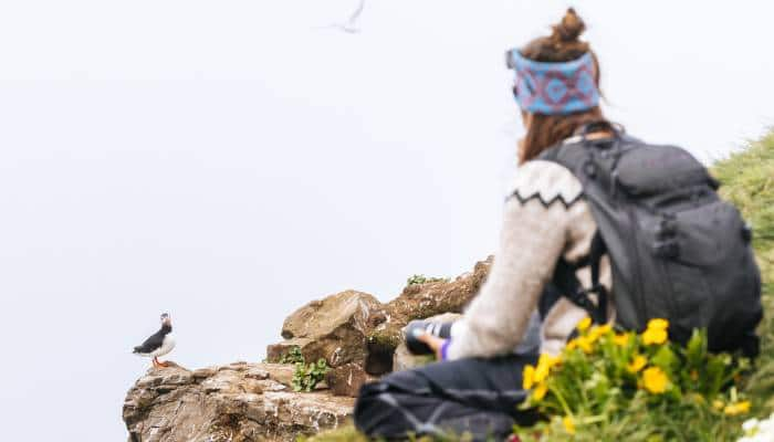 one million birds and 20 residents Grimsey island in Europe 