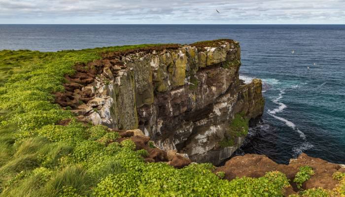 one million birds and 20 residents Grimsey island in Europe 