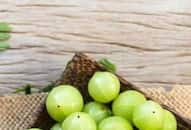 amla-health-benefits-winter