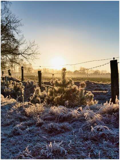 When Is Winter Solstice staring