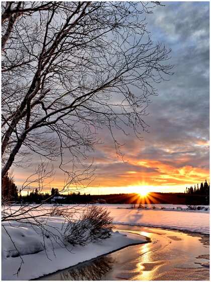 Seasonal Changes at the Solstice