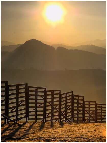 Astronomical Basis of the Solstice