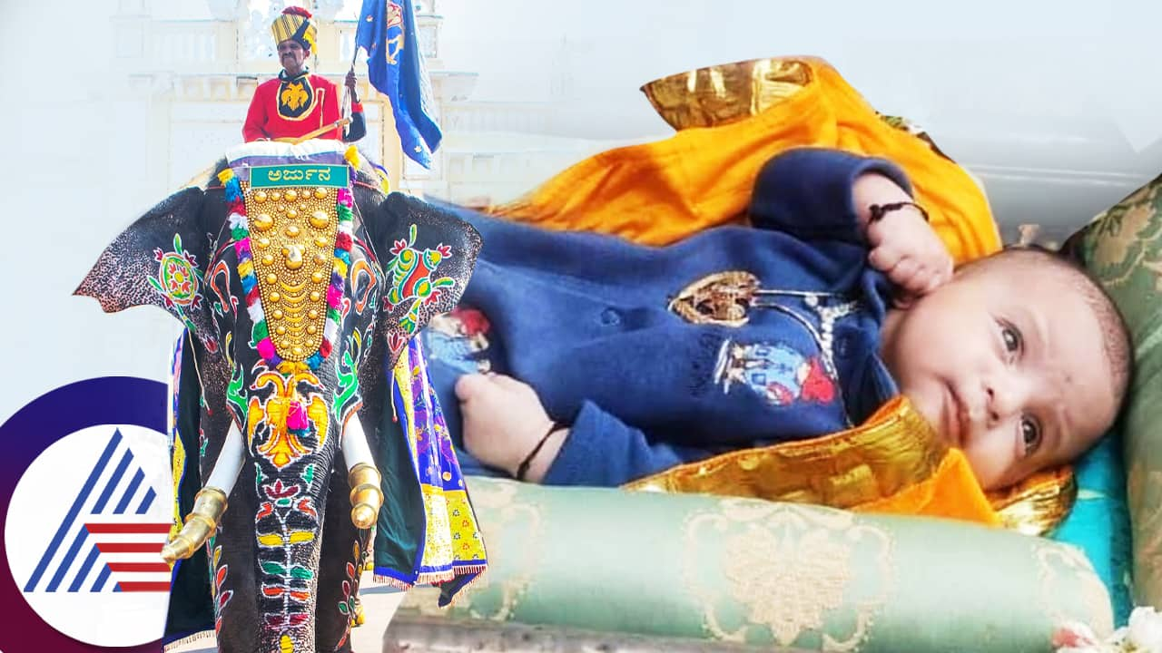 People tells that elephant arjun reborn as Mysore prince pav 