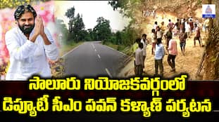 Deputy CM Pawan Kalyan Visits Salur Panasabhadra Panchayat: Lays Foundation for Tribal Road Projects