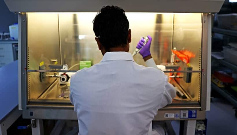  SHOCKING! Scientist reveals gruesome way deadly 'mirror bacteria' could take devastating toll on human body