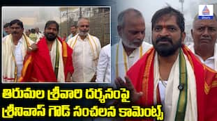 BRS Leader Srinivas Goud Sensational Comments on Tirumala Srivari Darshan