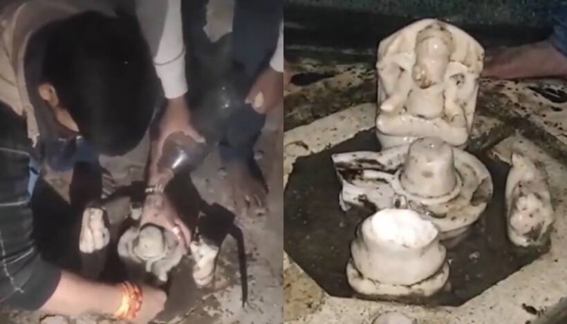 UP: Another abandoned Shiv Temple discovered in just days in Aligarh [WATCH]