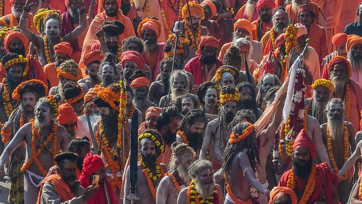 fibre resin artworks to beautify Prayagraj Mahakumbh 2025 Mela area