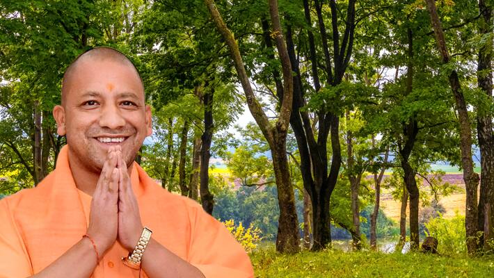 Yogi Adityanath government launches Operation Shatakveer to protect century old trees