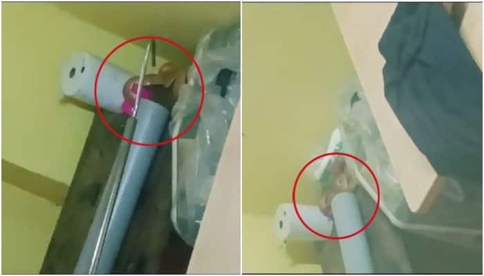 snake found inside family health center in kollam