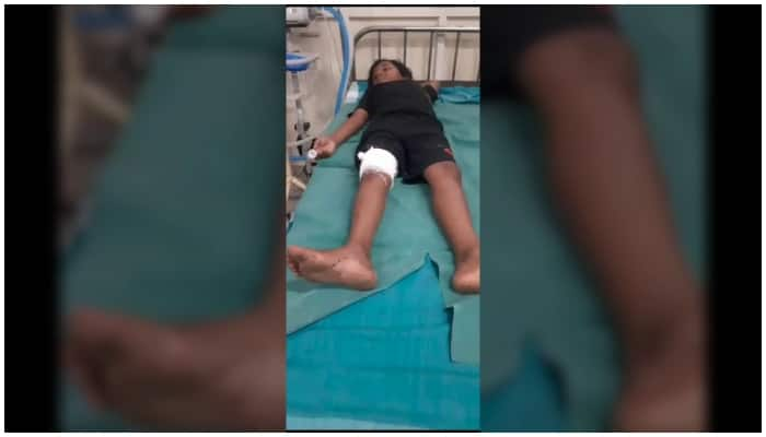 9 year old boy injured in sabarimala wild boar attack