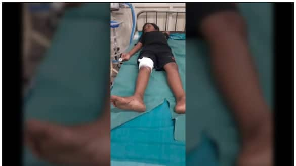 9 year old boy injured in sabarimala wild boar attack