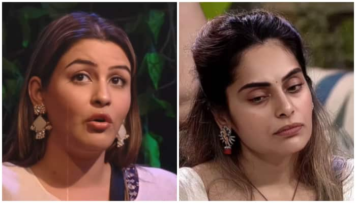 Bigg Boss 18: Yamini Malhotra shares shocking details about Shrutika's emotional battle with her mom NTI