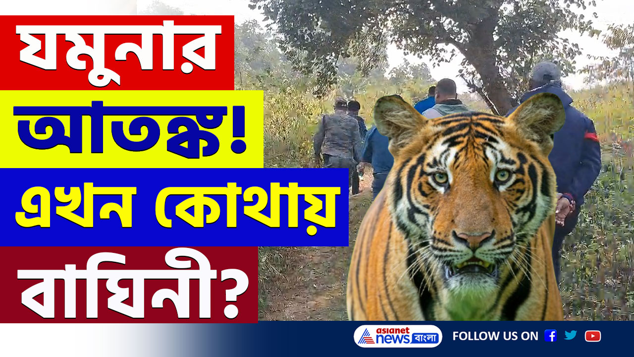 Bandwan Tiger News : শীতের রাতে যমুনার আতঙ্ক! একের পর এক জঙ্গল দাপিয়ে বেড়াচ্ছে বাঘিনী