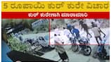 davanagere families fight for kurkure gow