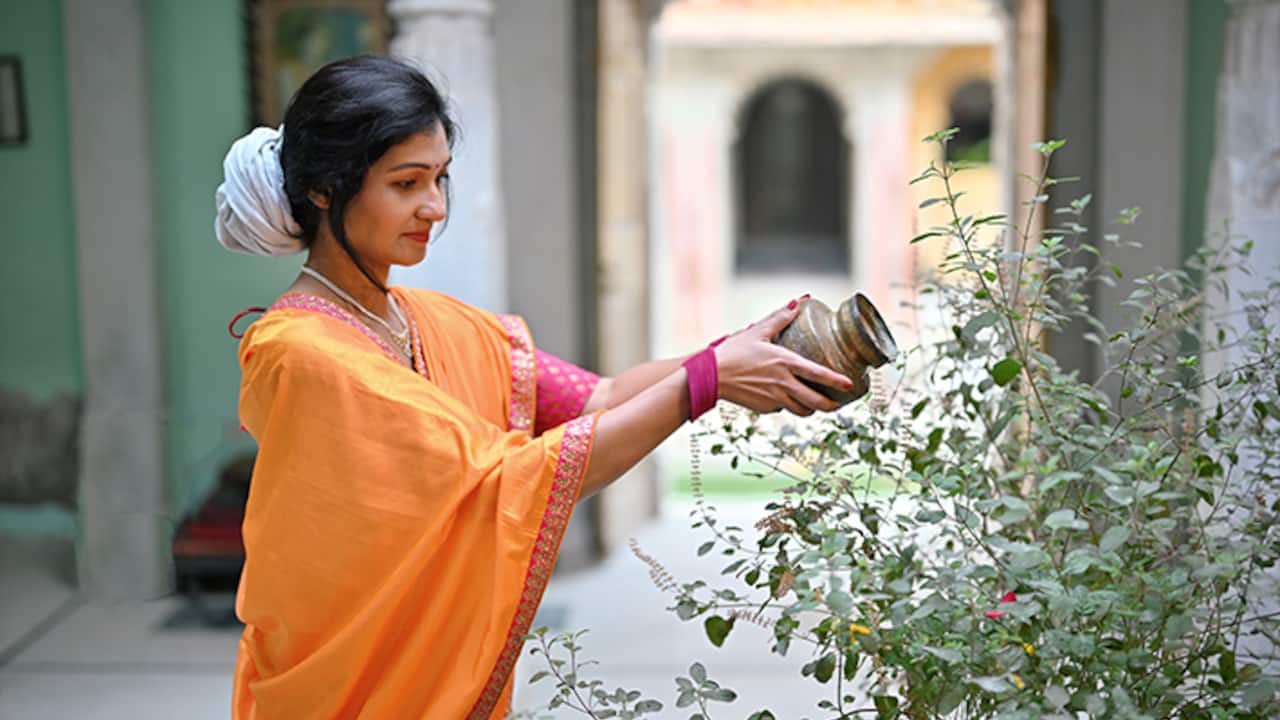 tulsi pujan diwas 2024