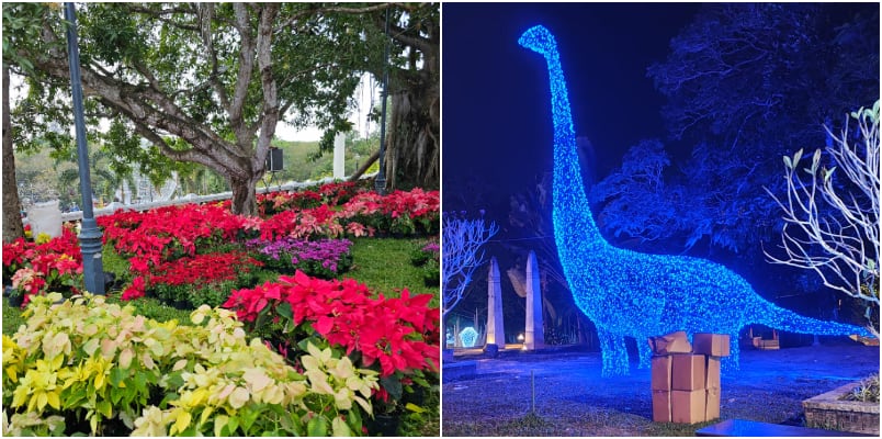 Flower show light fest to spur XMas New Year gala Vasantholsavam begins tomorrow