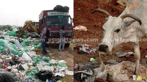 National Green Tribunal says Waste dump row should not be inter state dispute dispute between Kerala and Tamil Nadu