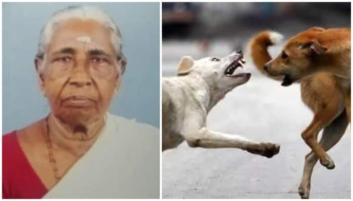 elderly person dies in stray dog attack in arattupuzha alappuzha  