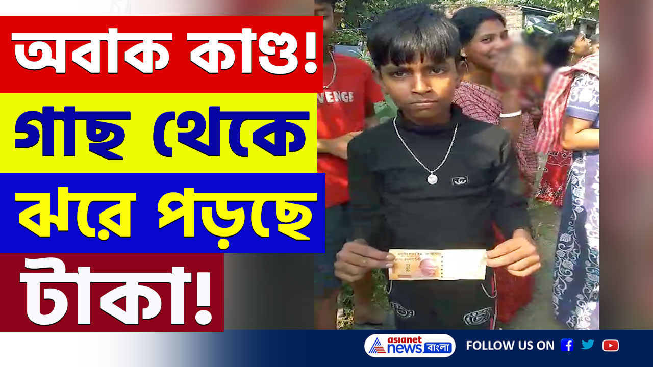 Malda : কেউ পেয়েছে ২০০, কেউ ৫০! মালদায় গাছ থেকে টাকার বৃষ্টি! ব্যাপারটা কি