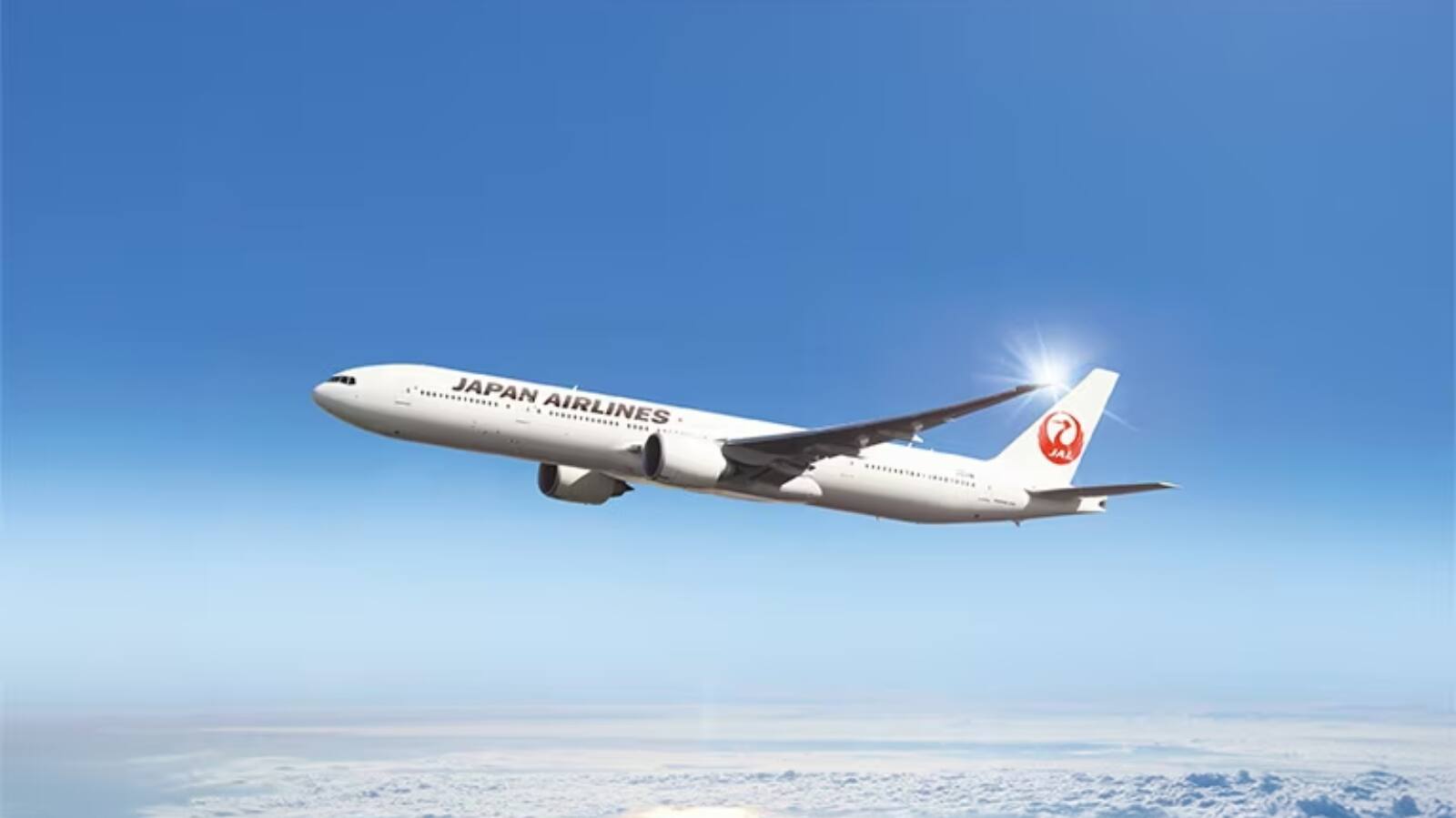 Japan Airlines Cyber Attack 