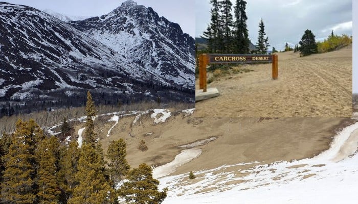 Carcross Desert: The World's Smallest Desert with Mysteries and Wonders JmS