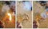 Video of fire and smoke coming out of the mouths of dead chickens in a village in Karnataka has gone viral 