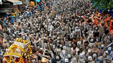 Why Kumbh Mela 2025 is a must-visit for global travellers?