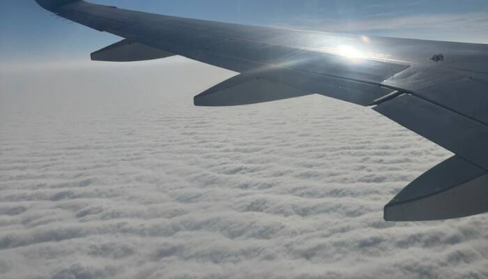 Flight