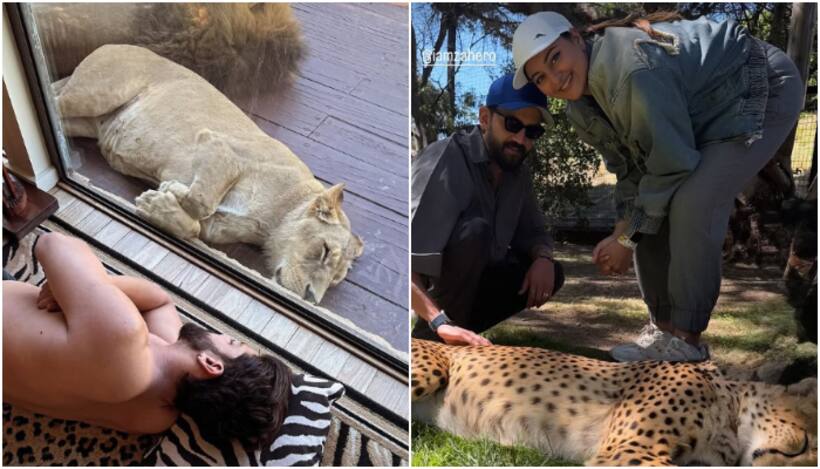 Sonakshi Sinha, Zaheer Iqbal wake up with lions on vacation; share adorable video [WATCH]