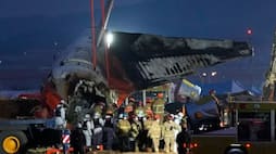 Was the pilot's decision caused the South Korean plane crash disaster