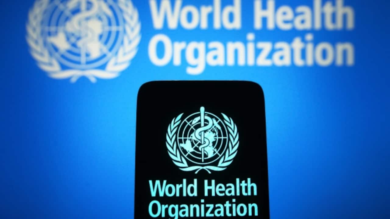 WHO Global Internship Programme