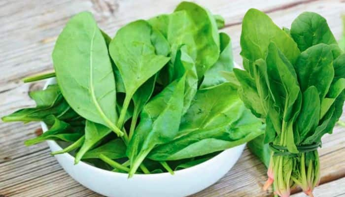 How and When Clean Chopped spinach mrq