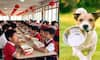 School Serves Food in Dog Buckets Sparking Outrage in China sat