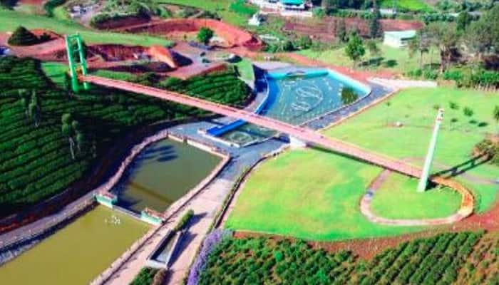 Ooty to host inaugural Winter flower fest, inspired by Bengaluru's Lalbagh show