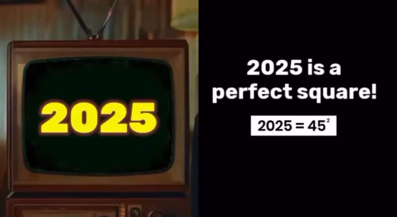 From perfect squares to sum of cubes: HERE's why 2025 is a mathematical year (WATCH)