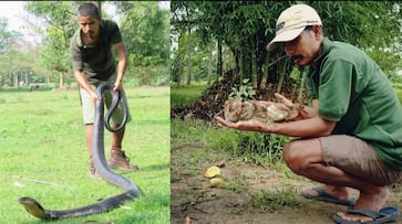 Wildlife Hero: Meet Manoj Gogoi, the Assam man who has rescued over 6000 animals in two decades iwh