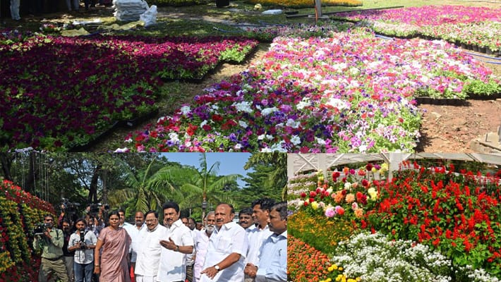 Chennai Semmozhi flower fair fees increase tvk