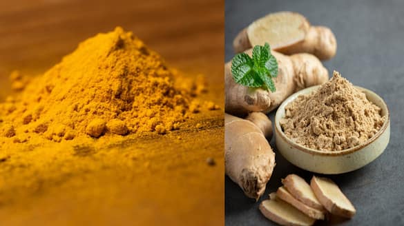 Health benefits with turmeric and ginger powder VNR