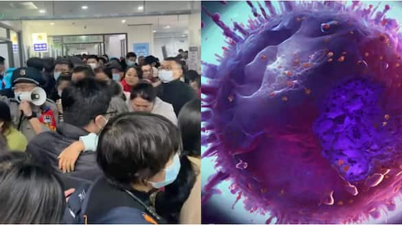 New Virus Outbreak Report That Human Metapneumovirus HMPV Spreading But Not Confirmed By China