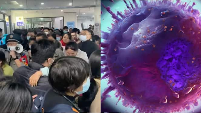 Will HMPV virus spread in japan mrq