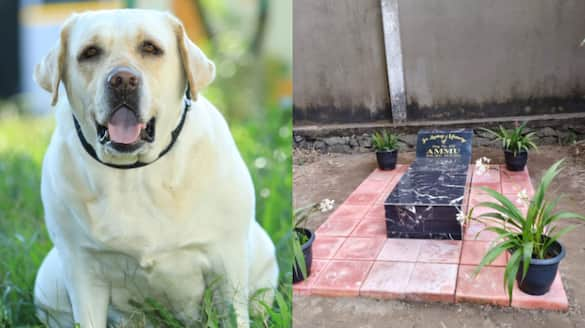 Ammu will be remembered forever, the police dog is honored by the memorial