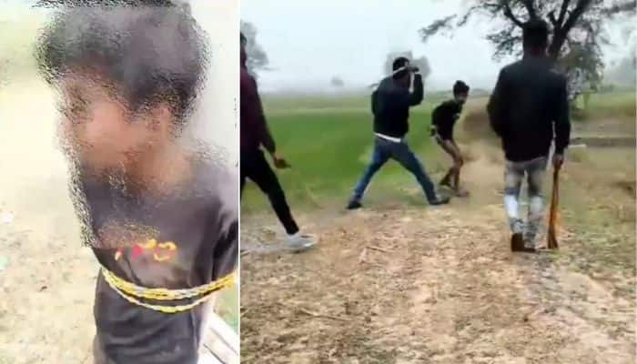 UP SHOCKER! Minor boy beaten, chilli powder put on private parts in Mirzapur over theft suspicion (WATCH)