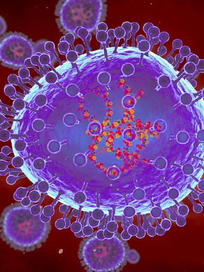 HMPV Virus Symptoms: भारत में मिला पहला केस, जानें किसके लिए खतरा?